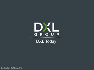 Destination XL Group (DXLG) Slumps on Earnings Expectations