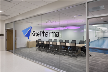 kite pharma investor presentation