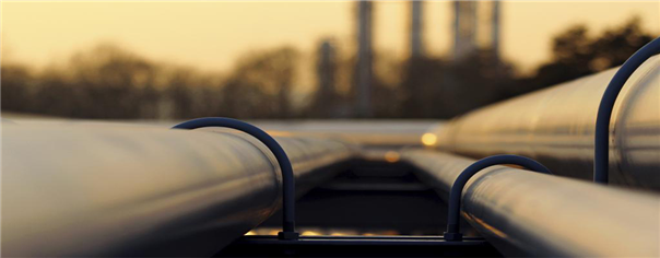 Investors Re-Examine Omicron Effect, Oil Steadies 